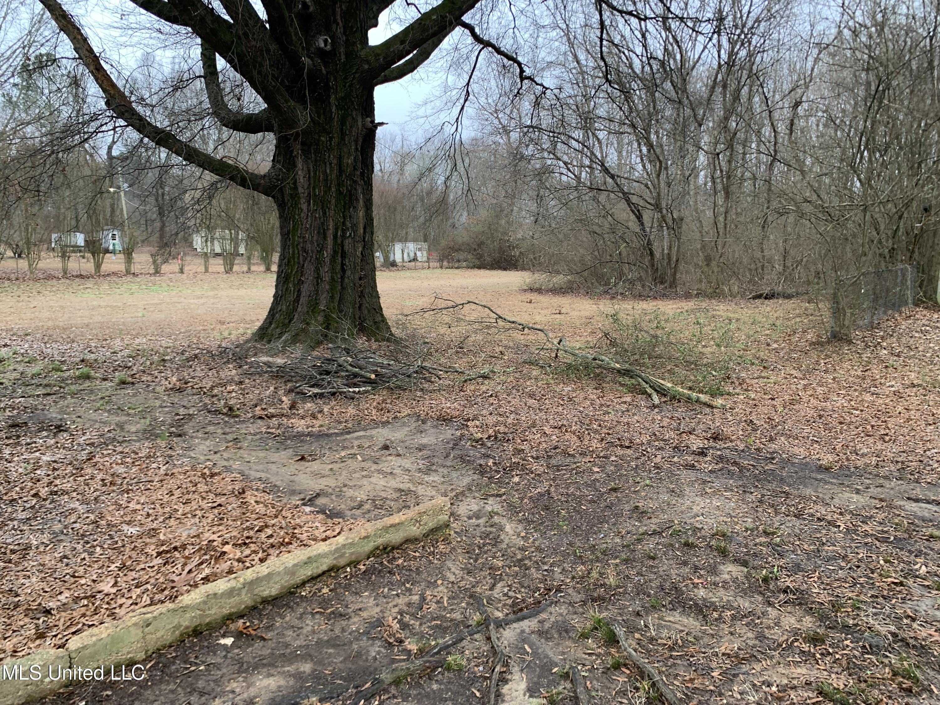 5991 Hacks Cross Road Olive Branch, MS 38654 - Photo 6 of 6 Hacks back