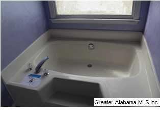 1815 Babbling Brook Road Piedmont, AL 36272 - Photo 11 of 25