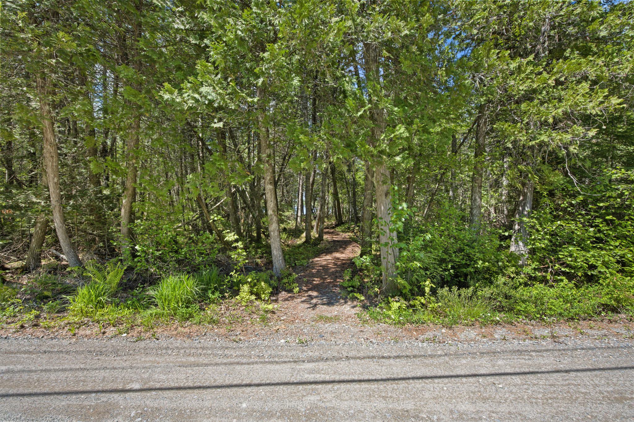 47 Cove Road Lincoln, ME 04457 - Photo 71 of 71 DSC_4811