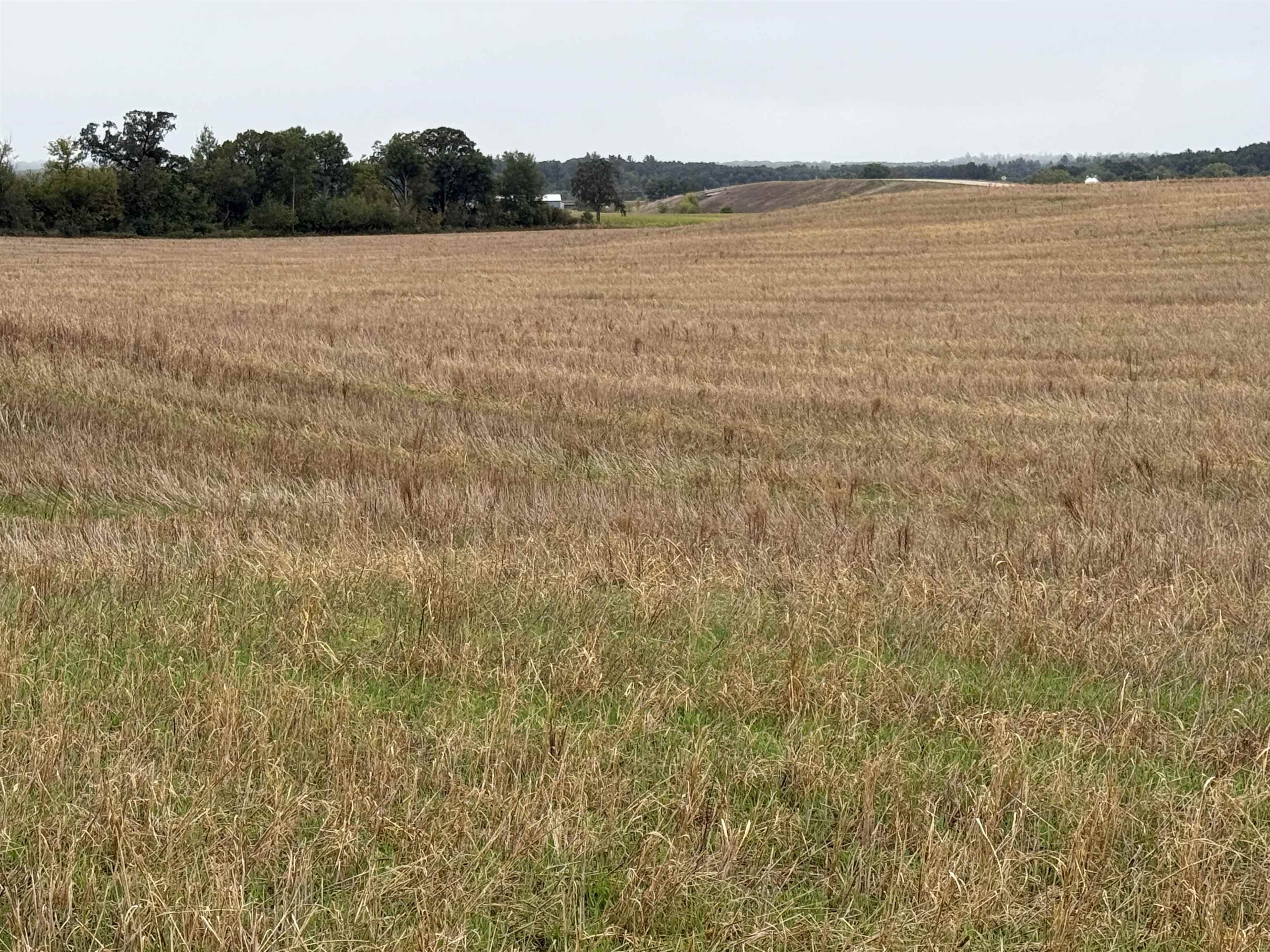 0 County Rd V, Unit CORNER OF CTY RD V AND B Amherst, WI 54406 - Photo 5 of 15