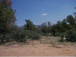 15325 North Talking Rock Ranch Road Prescott, AZ 86305 - Photo 2 of 7 a view of a dry yard with trees