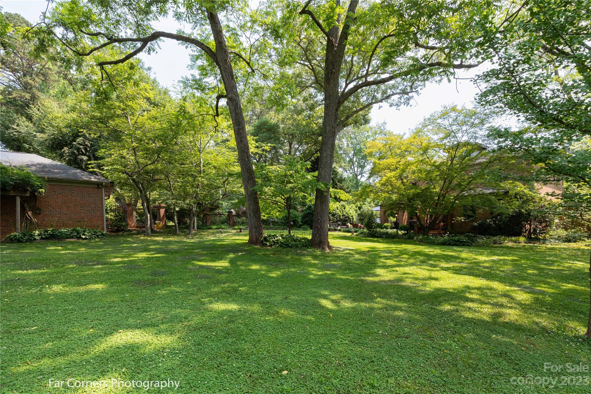 561 South Main Street Rutherfordton, NC 28139 - Photo 8 of 47 a view of a trees in a yard