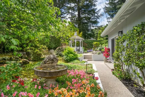 a view of a garden with plants