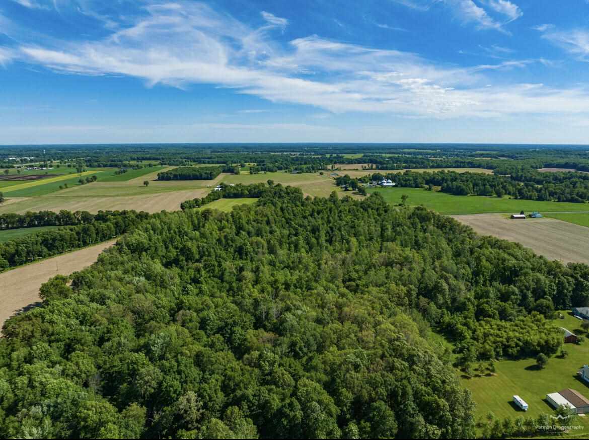 14 14 Mile Road Coldwater, MI 49036 - Photo 12 of 15