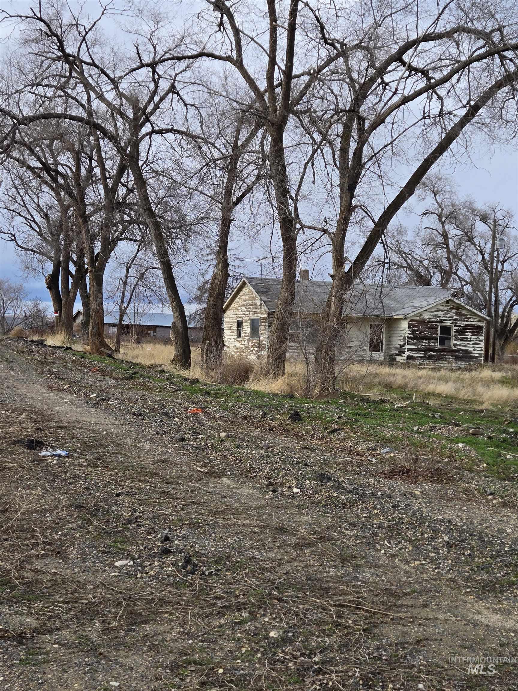 3755 Highway 95 Parma, ID 83660 - Photo 4 of 4 View of yard