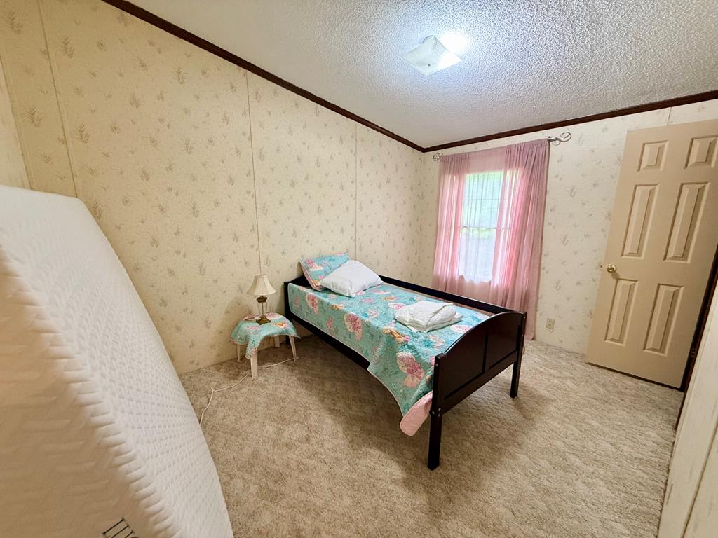 3231 County Road 46 Abbeville, AL 36310 - Photo 15 of 25