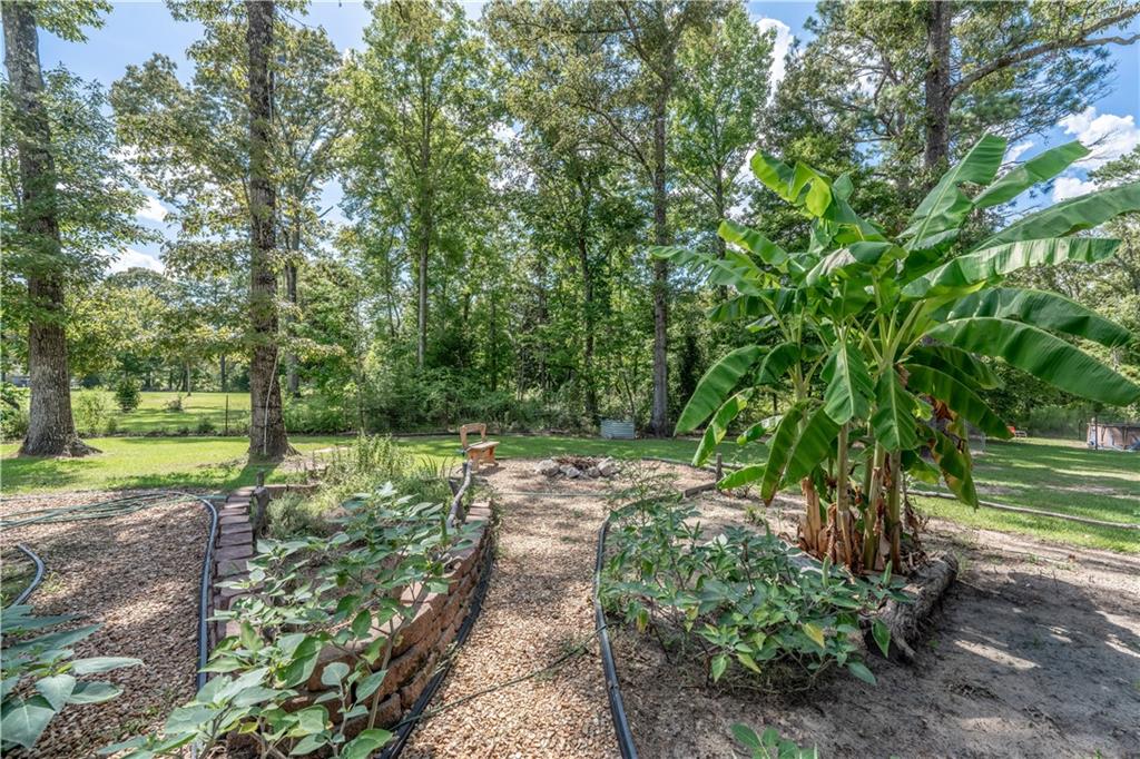 268 Miller Road Boyce, LA 71409 - Photo 23 of 46 Gallery Image 23