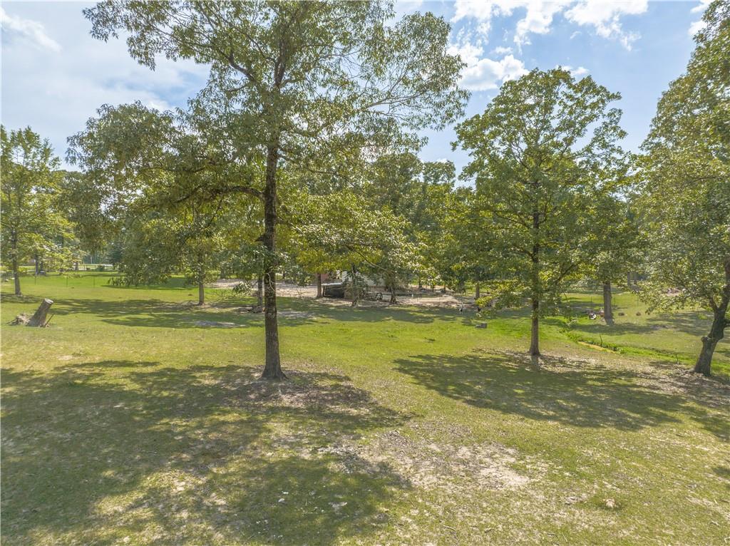 268 Miller Road Boyce, LA 71409 - Photo 44 of 46 Gallery Image 44