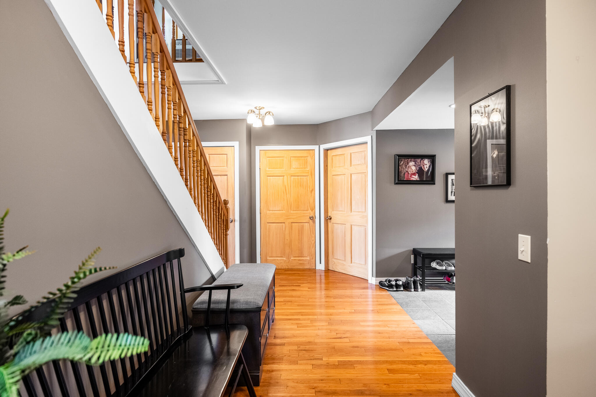 91 Mulberry Road Dedham, ME 04429 - Photo 14 of 46 Entry-2