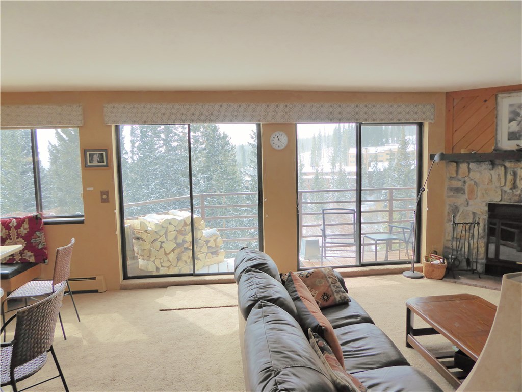 9825 Ryan Gulch Road, Unit 202 Silverthorne, CO 80498 - Photo 1 of 22 Gallery Image 1