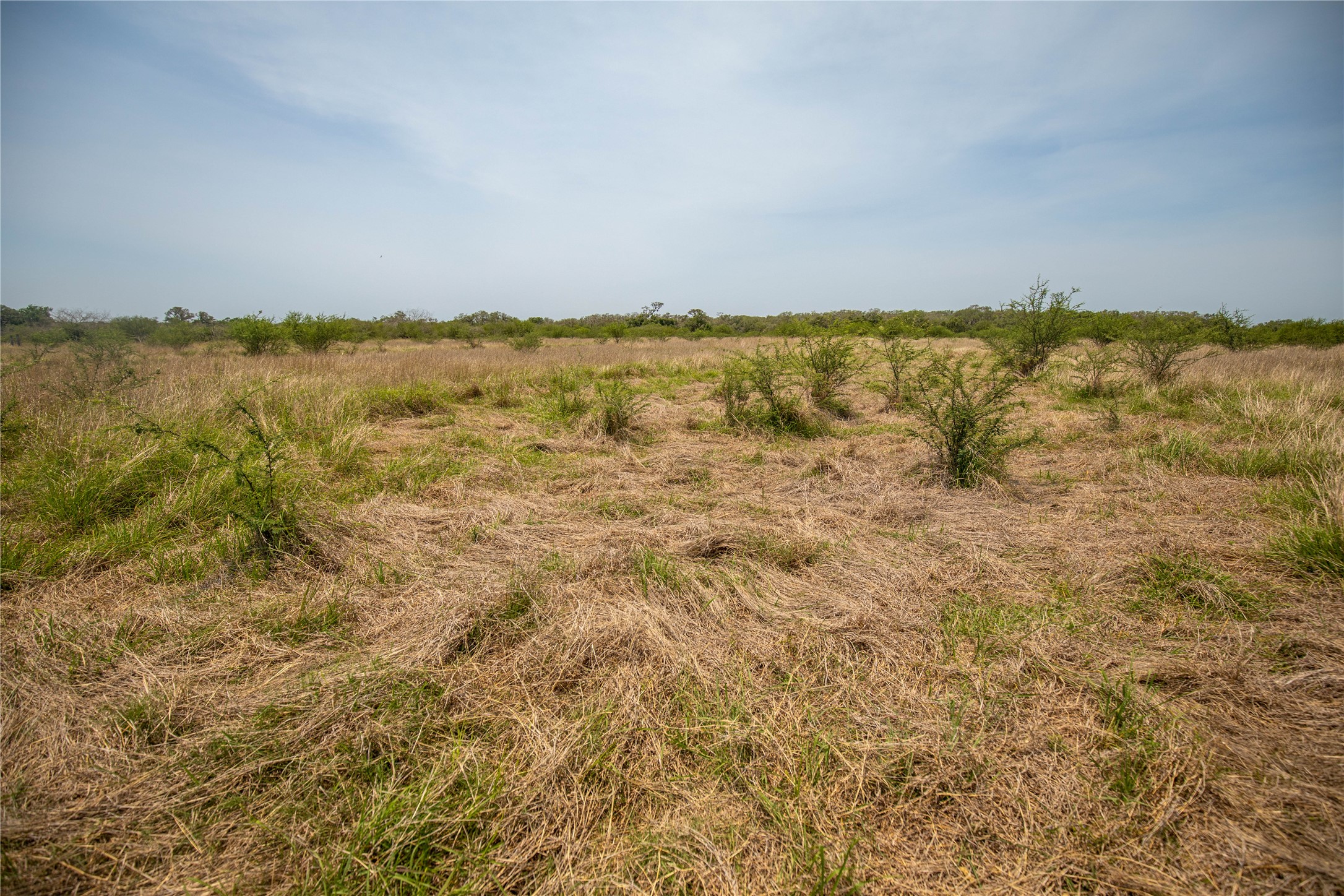 0 Green Dewitt Road Cuero, TX 77954 - Photo 17 of 40