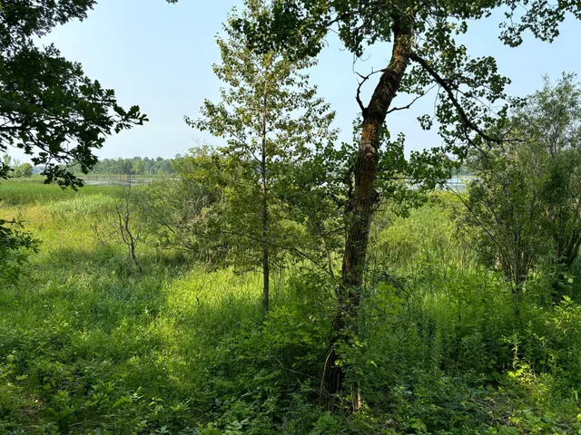 $175,000 | 1246 Island Lake Road, Lengby, MN 56651