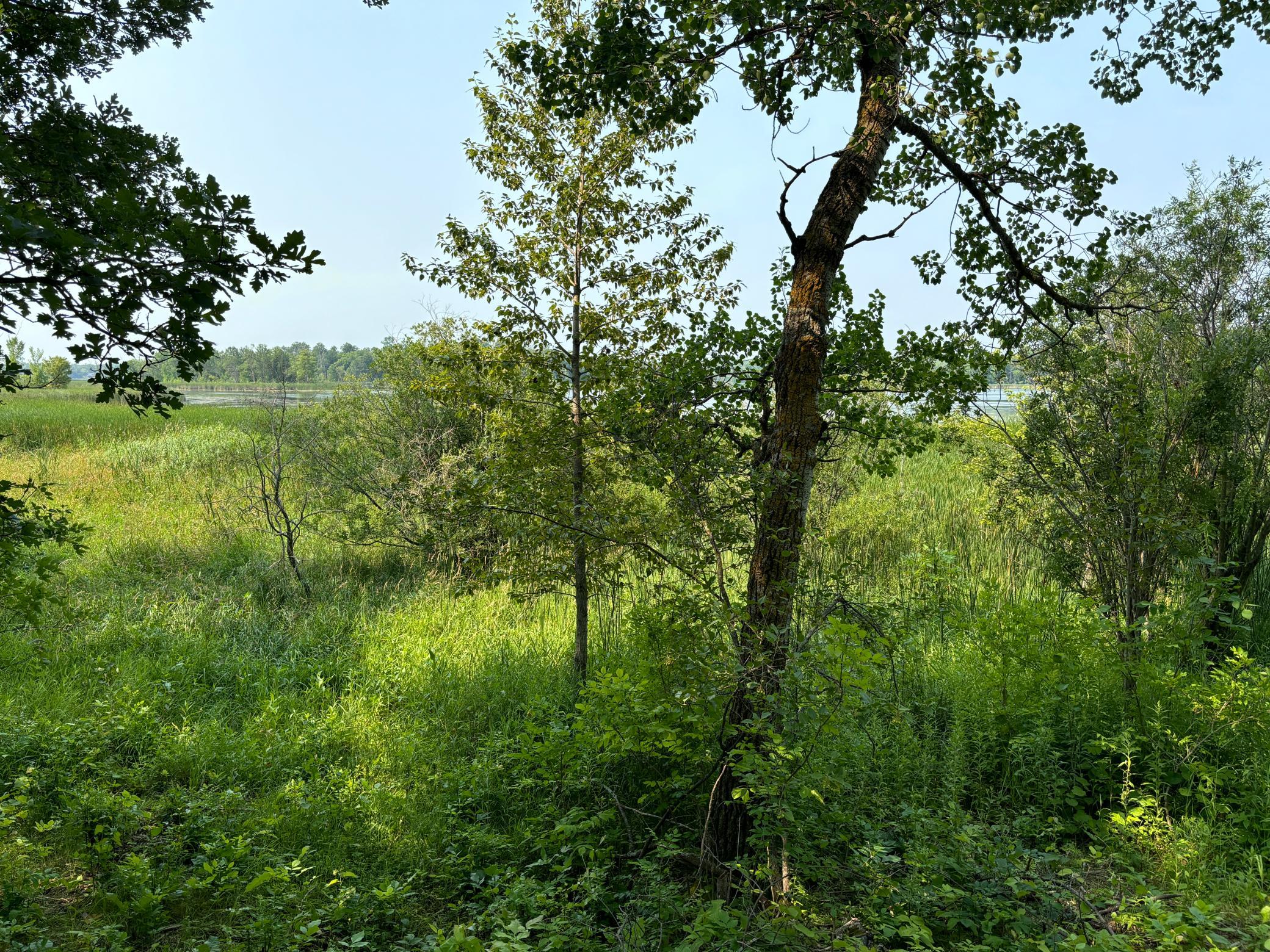 1246 Island Lake Road Lengby, MN 56651 - Photo 11 of 14