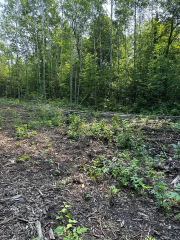 $175,000 | 1246 Island Lake Road, Lengby, MN 56651