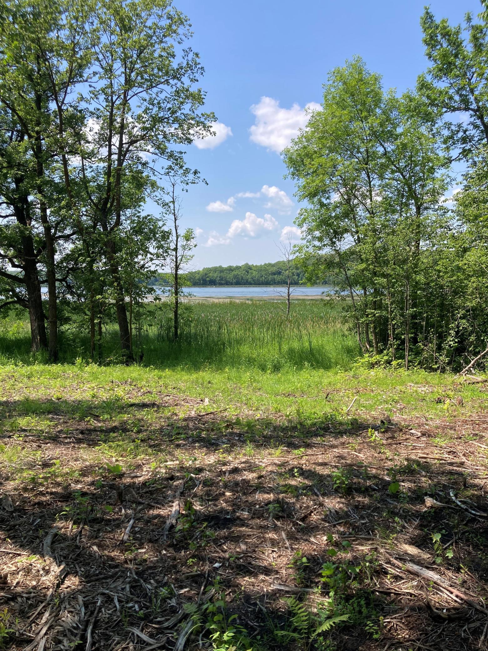 1246 Island Lake Road Lengby, MN 56651 - Photo 13 of 14
