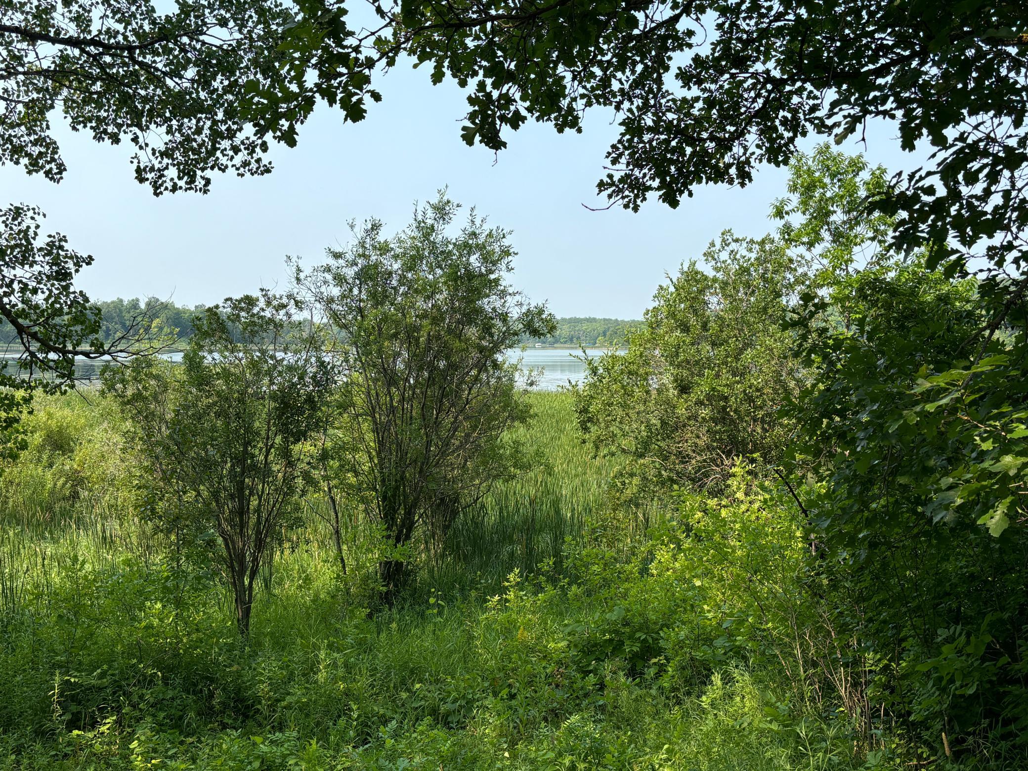 1246 Island Lake Road Lengby, MN 56651 - Photo 3 of 14