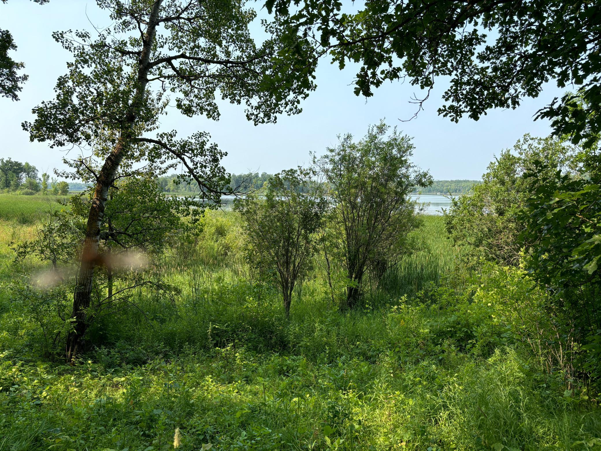 1246 Island Lake Road Lengby, MN 56651 - Photo 7 of 14