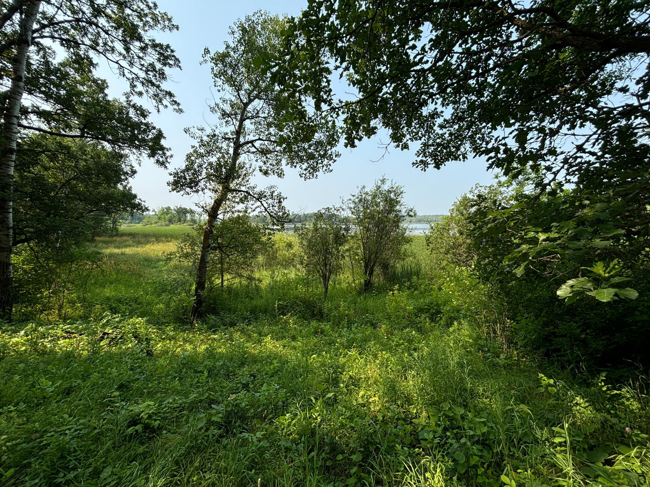 1246 Island Lake Road Lengby, MN 56651 - Photo 8 of 14