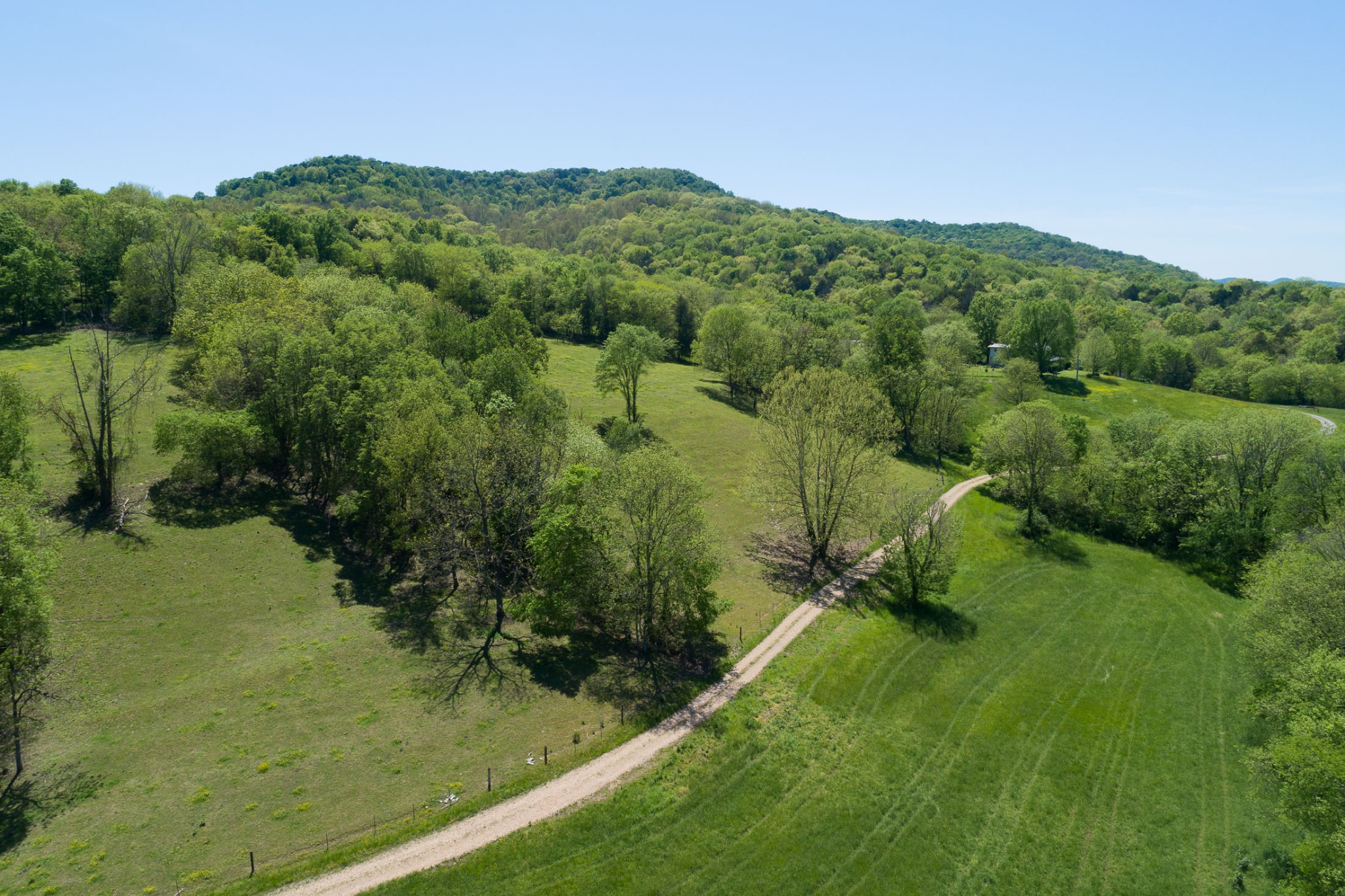 4496 Lower Helton Road Alexandria, TN 37012 - Photo 32 of 40 a view of a green field with mountains in the background