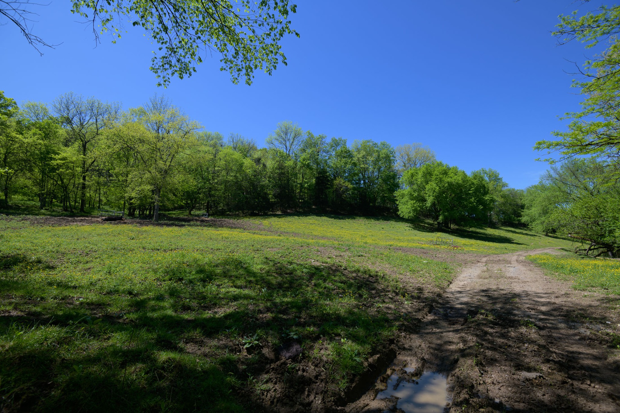 4496 Lower Helton Road Alexandria, TN 37012 - Photo 35 of 40 a view of a field with a tree in the background