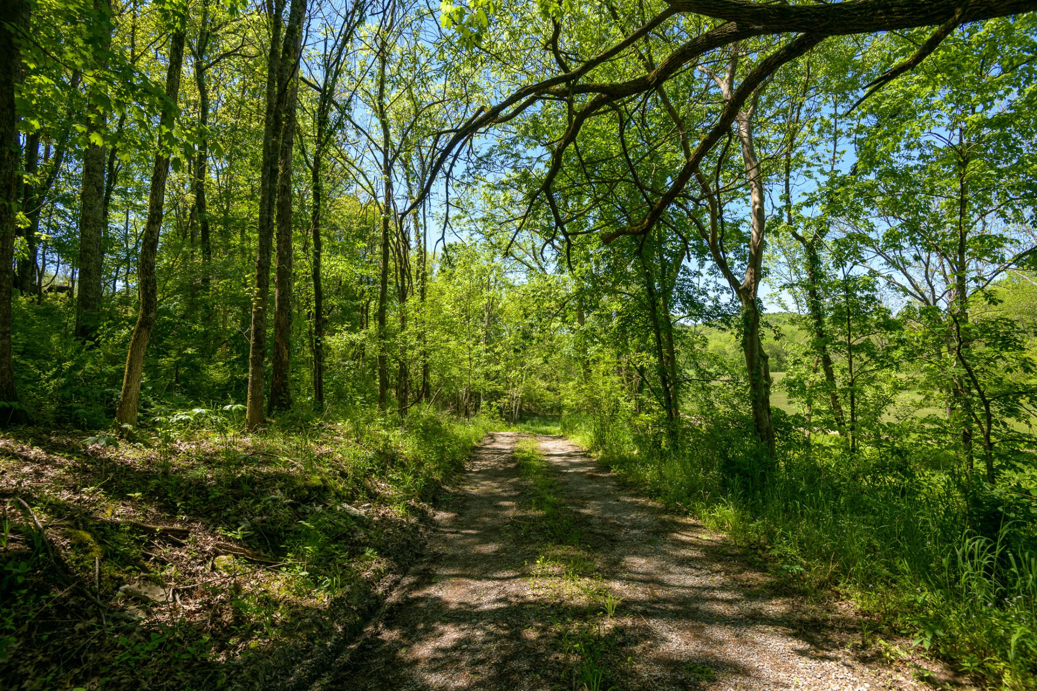4496 Lower Helton Road Alexandria, TN 37012 - Photo 38 of 40 a backyard of a house with lots of green space