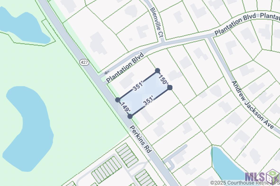 18680 Perkins Road Prairieville, LA 70769 - Photo 4 of 4