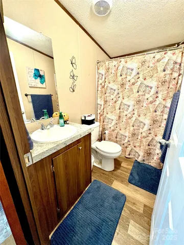 a bathroom with a sink a toilet and shower curtain