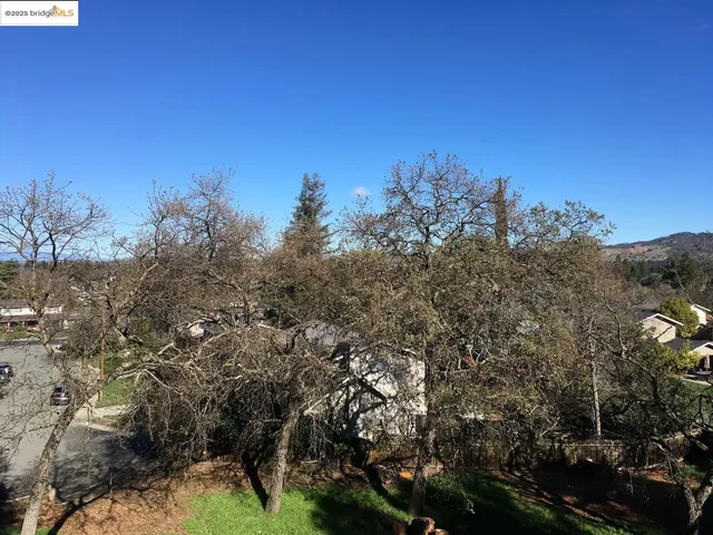 a view of a city with lush green forest