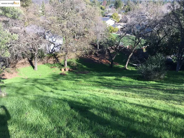 a view of green field with plants and trees