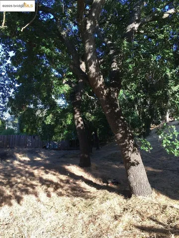 a view of a backyard of the house