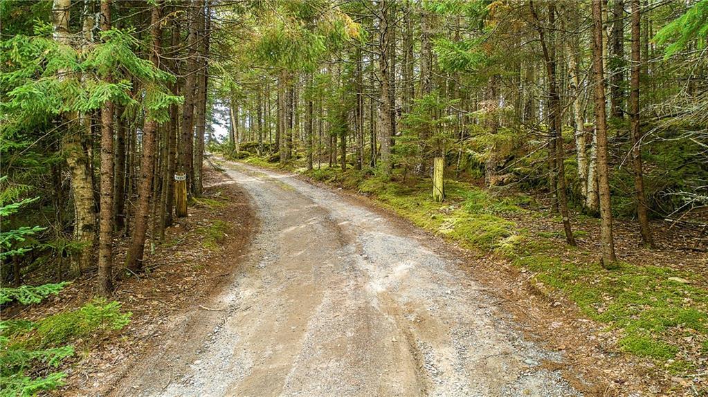 0 Richtown Road Bernard, ME 04612 - Photo 26 of 35 Photo