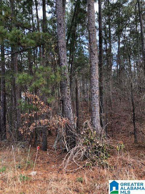 0 Pleasant Valley Road, Unit 1 Jacksonville, AL 36265 - Photo 5 of 24