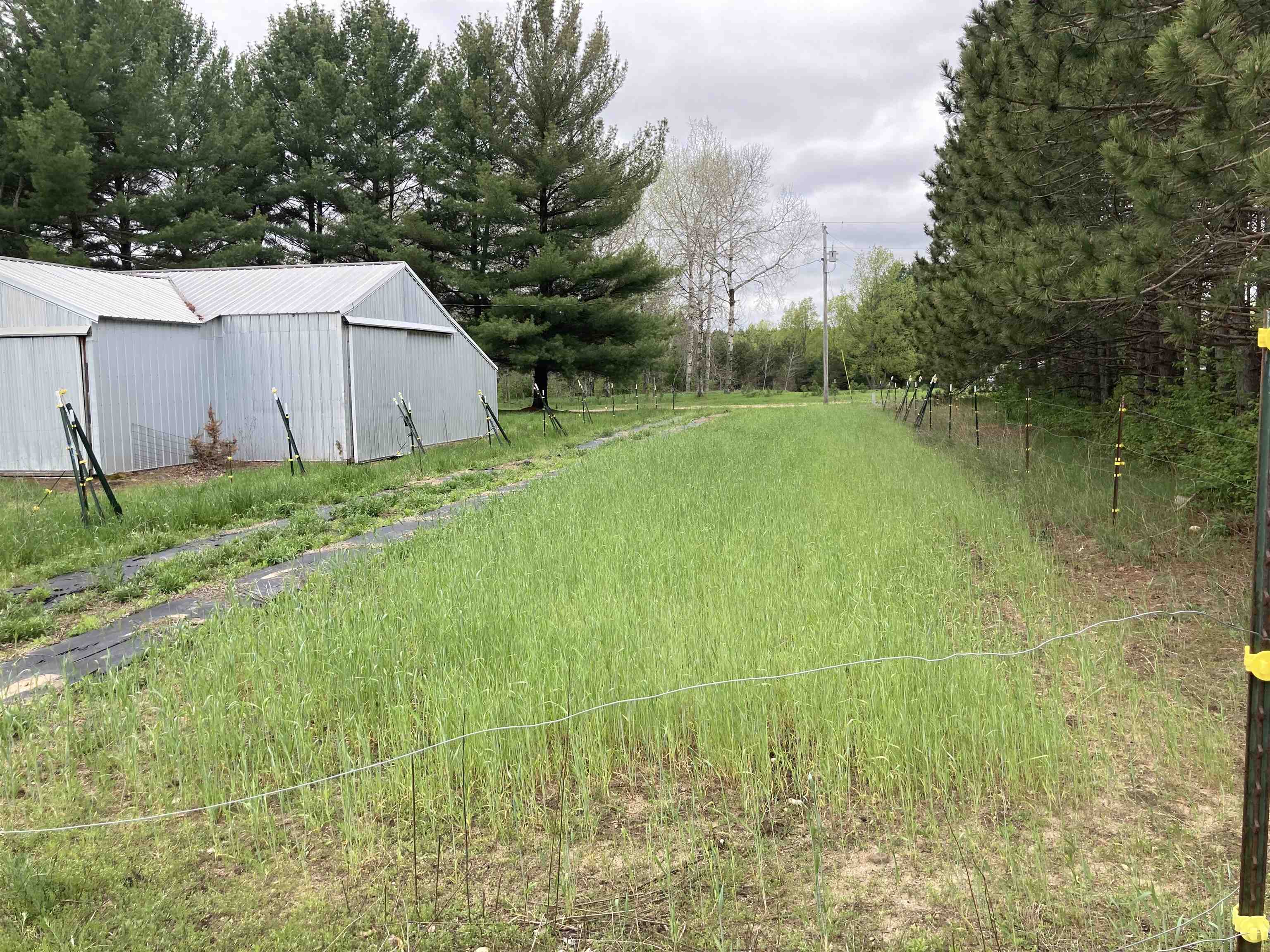 7635 Butler Road Southwest South Boardman, MI 49680 - Photo 42 of 53