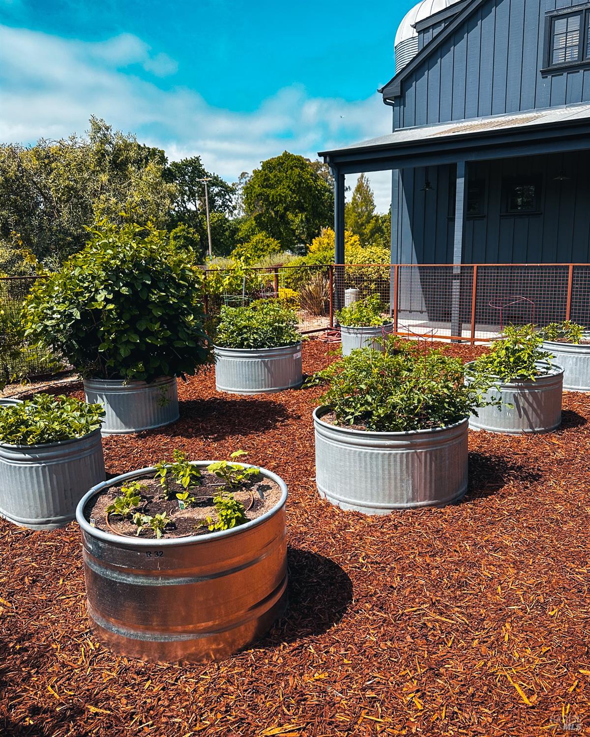 21831 Schellville Road Sonoma, CA 95476 - Photo 24 of 30 a view of a backyard with plants and patio