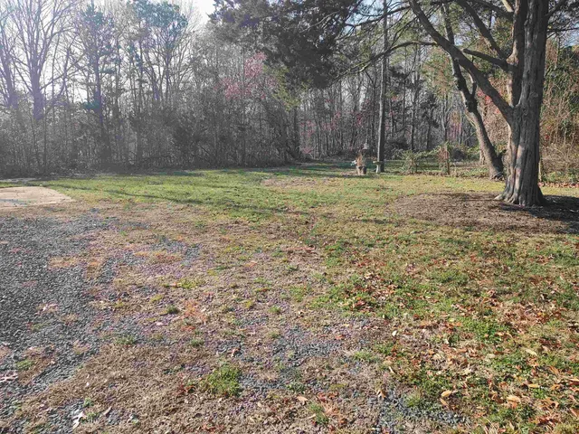 a backyard of a house with lots of green space