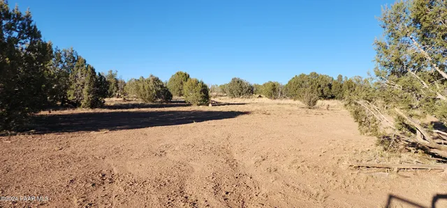 a view of dirt yard with a large tree