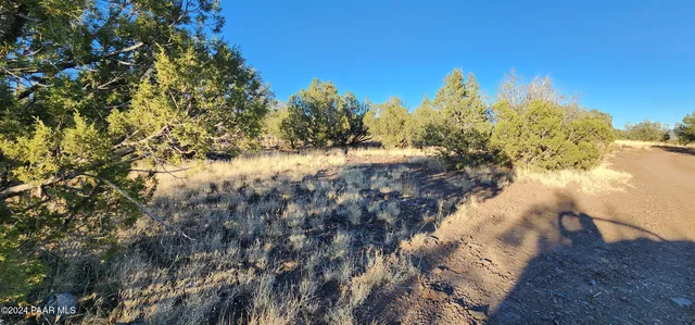 a view of a yard with wooden fence