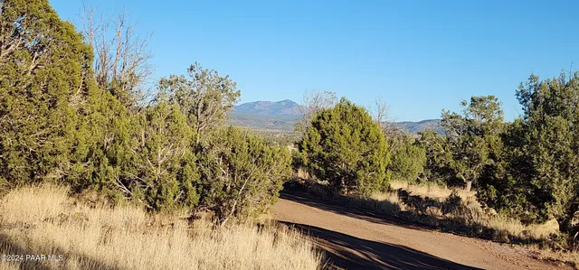 a view of a yard from a bench