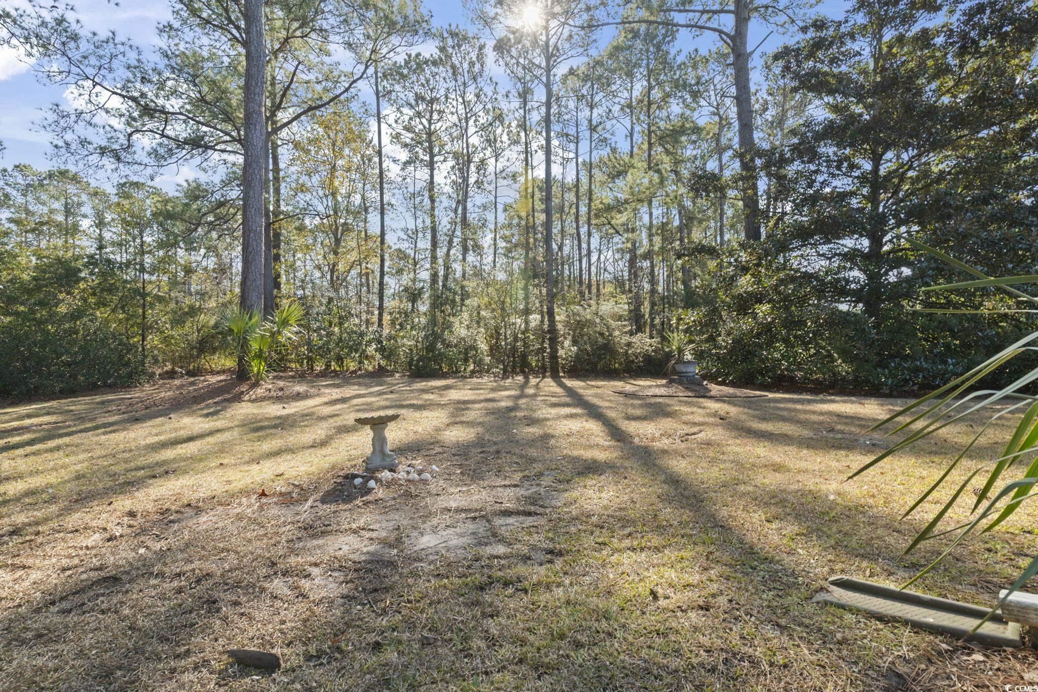 116 Purple Martin Drive Murrells Inlet, SC 29576 - Photo 39 of 40 View of yard