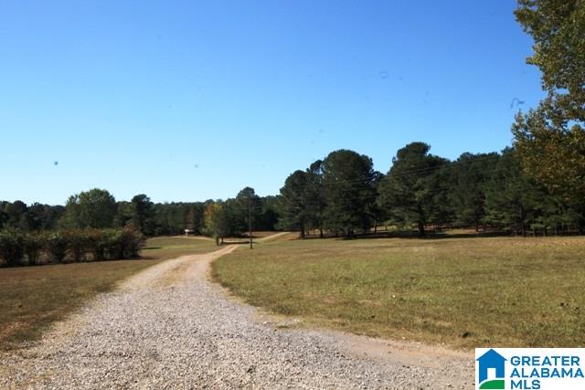 0 County Road 928, Unit 19 Delta, AL 36258 - Photo 22 of 43