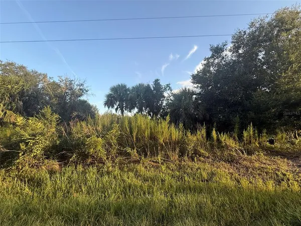 a view of a lake with a tree