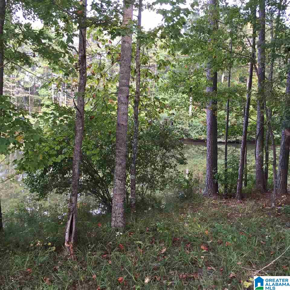 3 A Ridge Lake Road, Unit 3A Columbiana, AL 35051 - Photo 4 of 8 Gallery Image 4