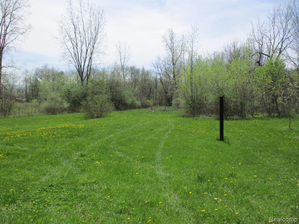 4659 Hegel Road Goodrich, MI 48438 - Photo 4 of 28