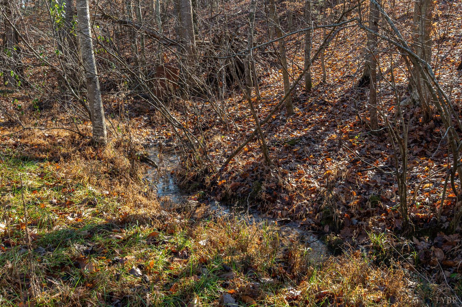 2389 New Chapel Road Rustburg, VA 24588 - Photo 8 of 73