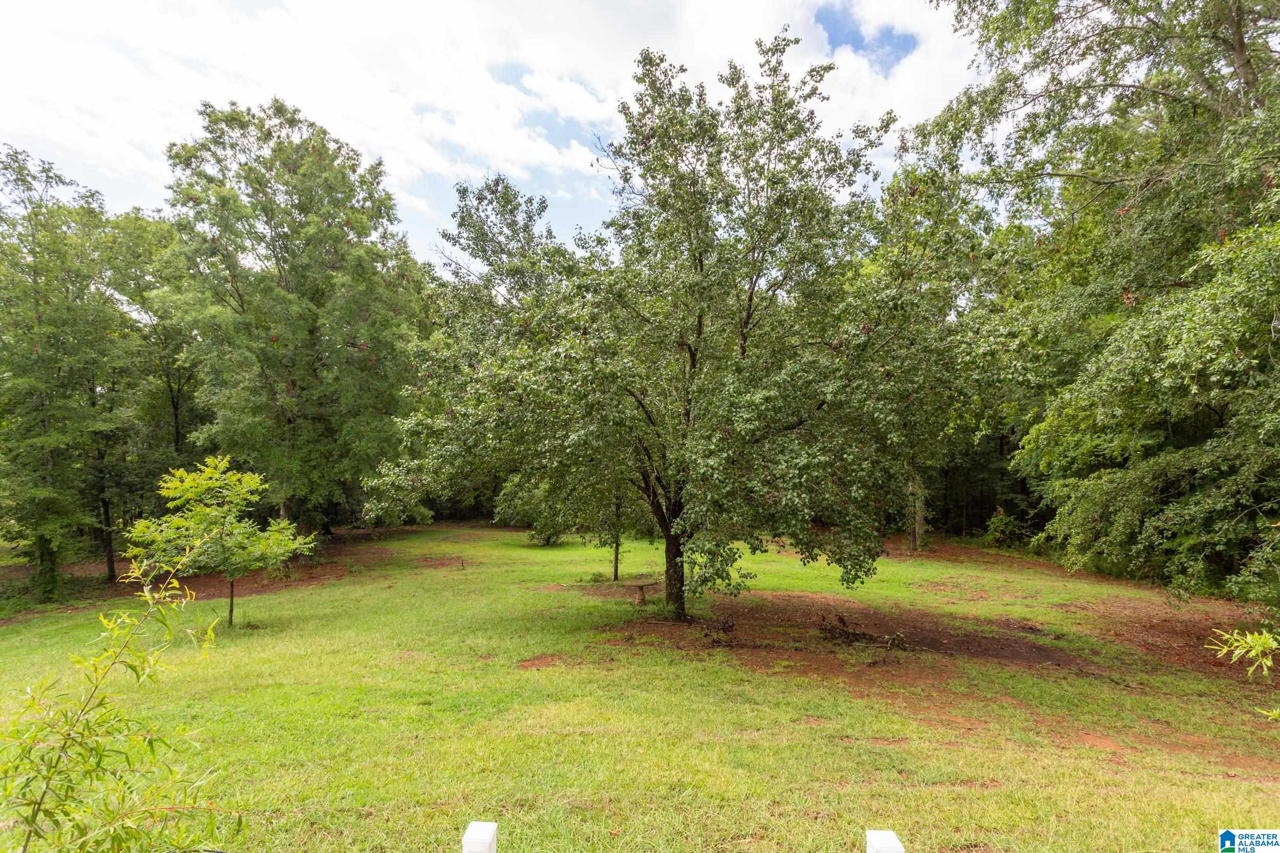 631 Holland-Finley Road Jacksonville, AL 36265 - Photo 21 of 26