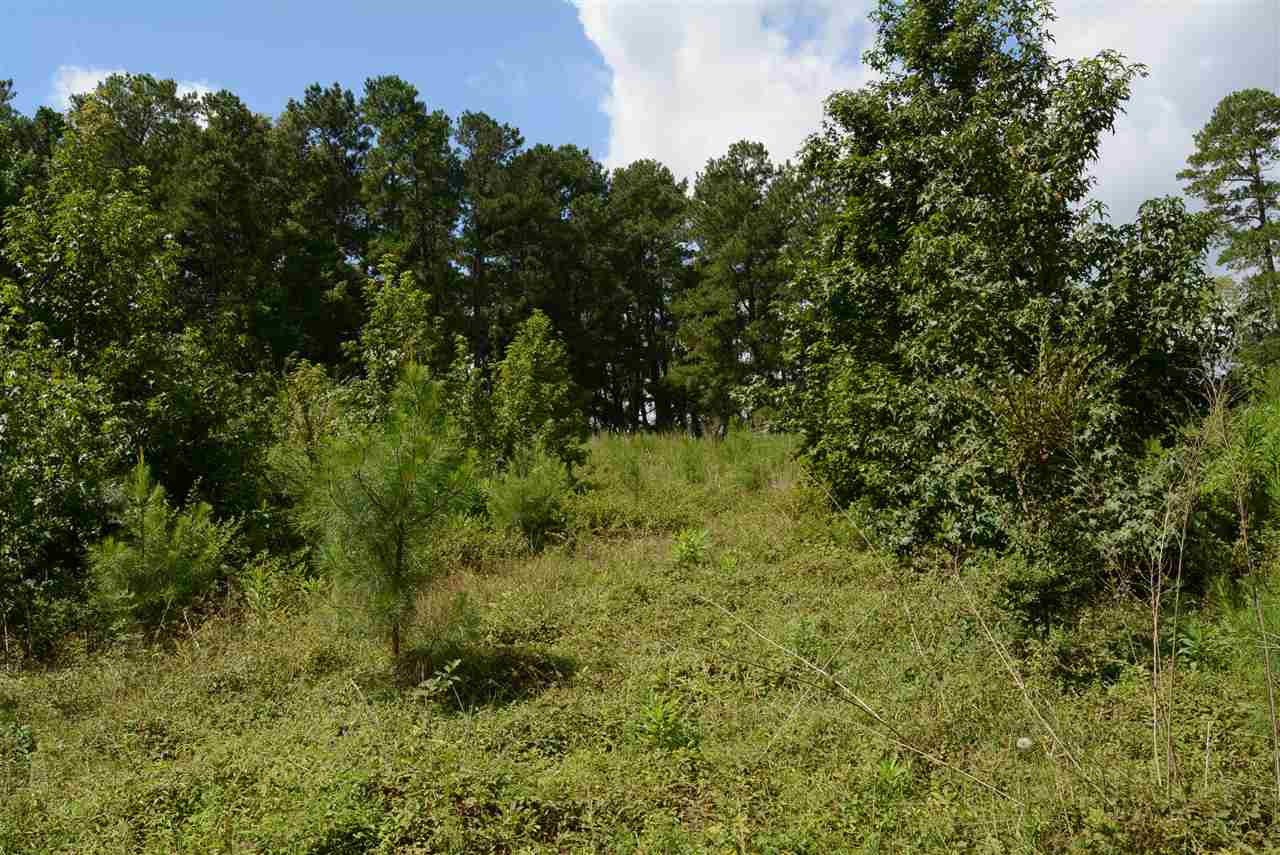 3133 Burlington Mills Road Wake Forest, NC 27587 - Photo 11 of 17 Photo 11