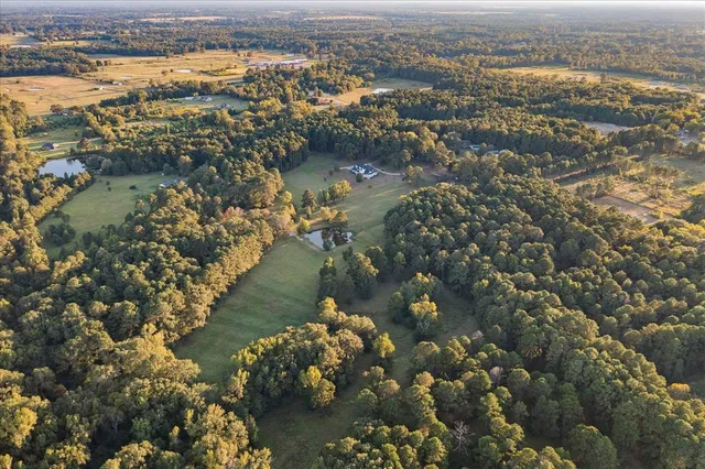 $1,250,000 | 374 County Road 104, Carthage, TX 75633