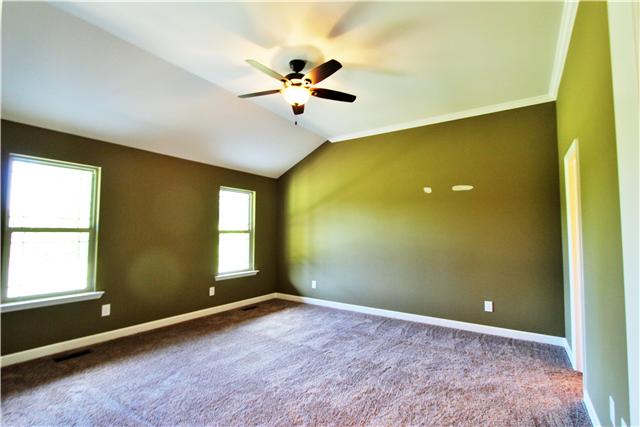 235 Cave Springs Road Lebanon, TN 37087 - Photo 6 of 13 Master bedroom