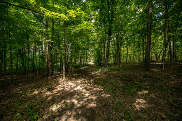 $209,900 | 106 Rogers Avenue, Iron River, MI 49935