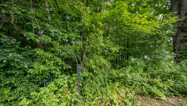 $209,900 | 106 Rogers Avenue, Iron River, MI 49935